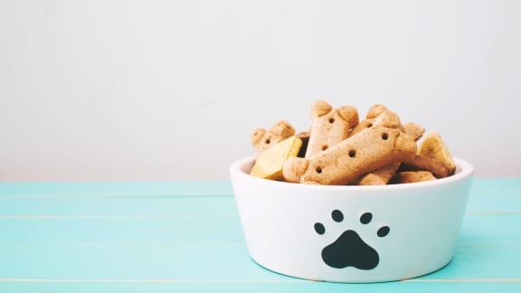 Biscuit pour chien boeuf-carottes