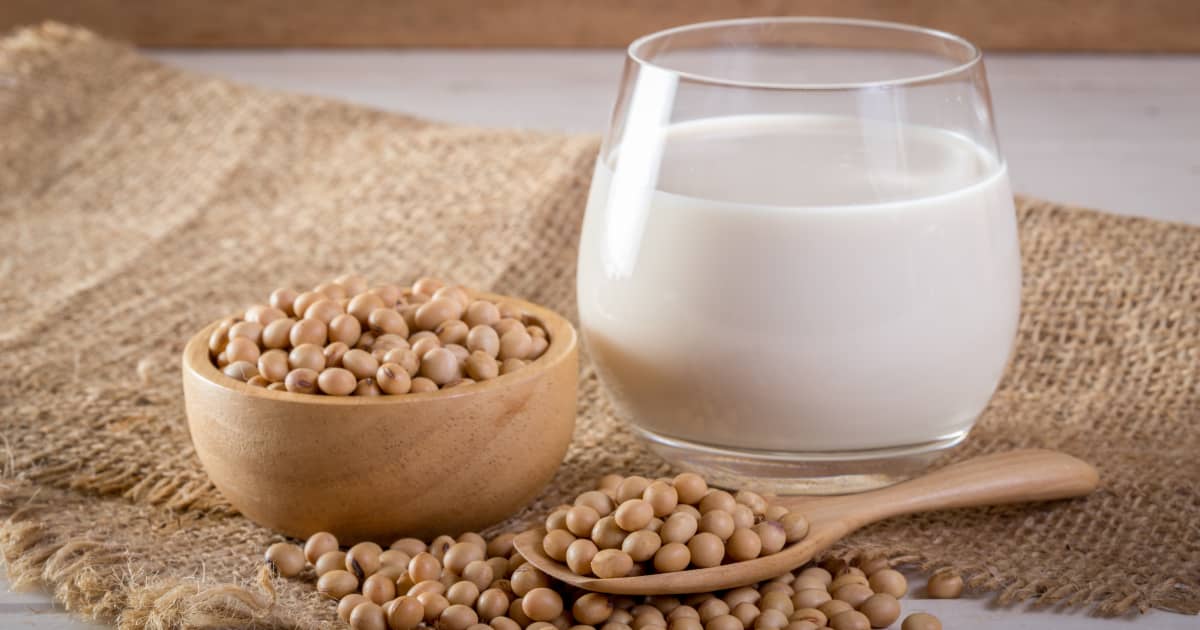 Comment faire son propre lait de soya maison Zeste — free download