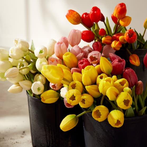 X idées-cadeaux pour surprendre la femme de votre cœur à la Saint-Valentin