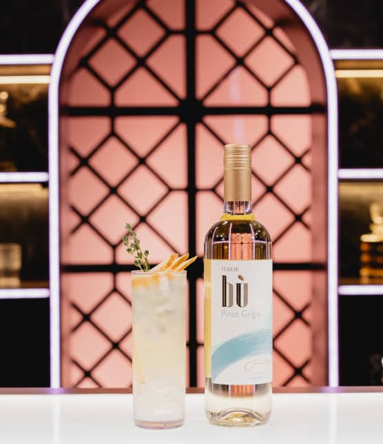 Le Glou-Glou Habs Glou de Sam Breton