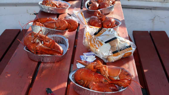 Festival du homard