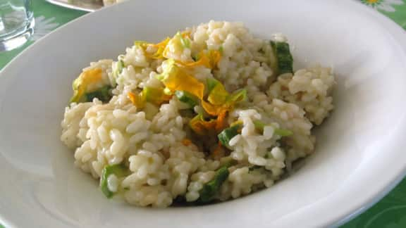 Risotto blanc aux courgettes