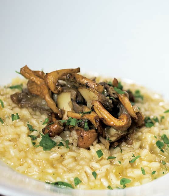 Risotto aux champignons