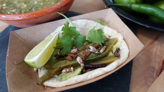 Tacos de criquets et salsa verde maison