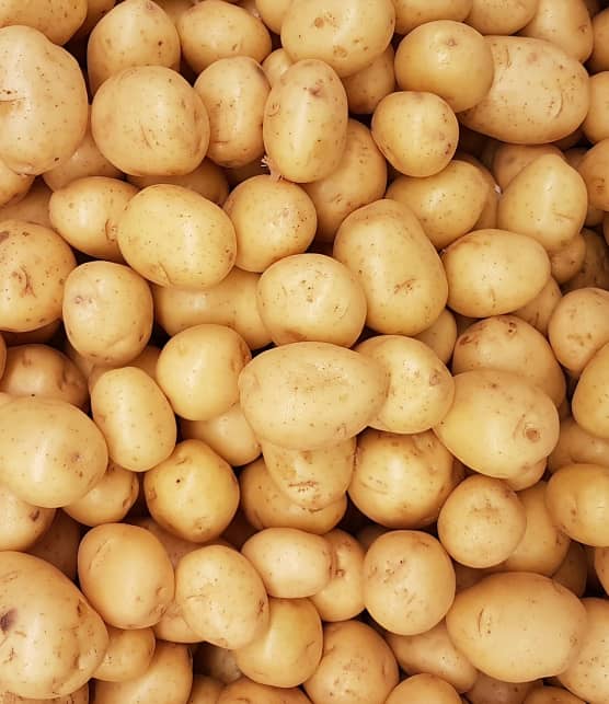 Patates germées ou vertes : Voici pourquoi elles sont dangereuses à consommer