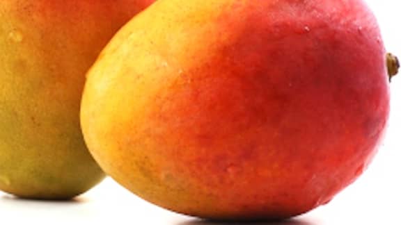 granité à la mangue et au champagne