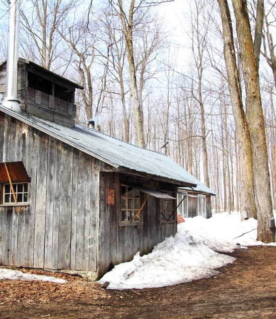 10 cabanes à sucre en Montérégie à découvrir