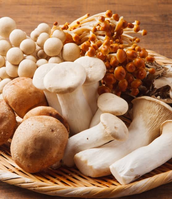 Est-ce qu'on peut congeler des champignons?