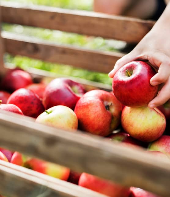 La saison des pommes risque de se terminer plus tôt que prévu, voici pourquoi