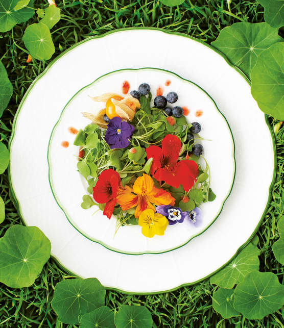 salade de pensées et de capucines