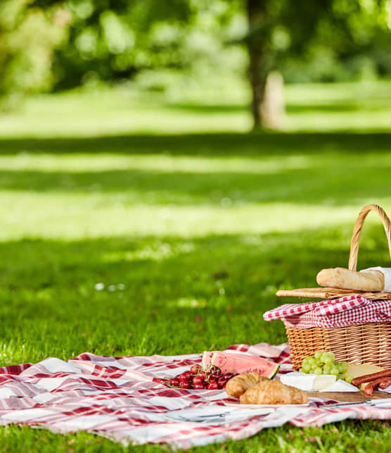 8 accessoires pour organiser un pique-nique au parc