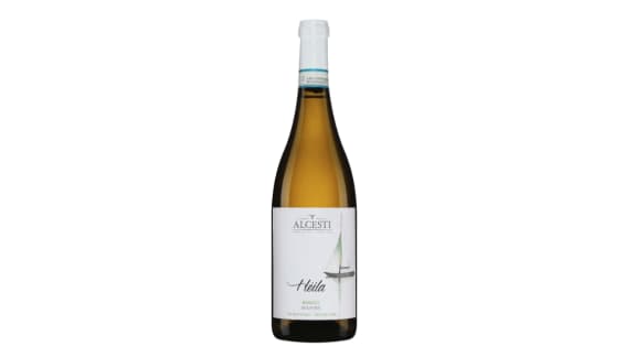 Alcesti, Hèila 2023, Sicilia