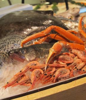 Le calendrier des produits de la mer vu par le poissonnier Matthieu Gautier