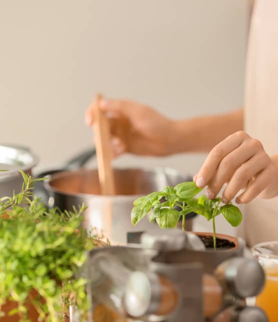 10 façons de cuisiner nos fines herbes du jardin!