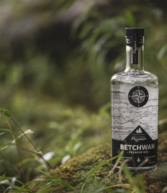 Un nouveau Gin inspiré par les saveurs de la Côte-Nord