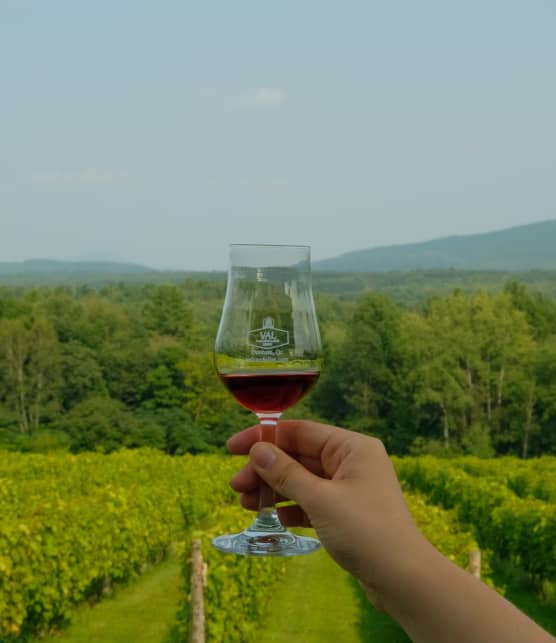 On a testé le vignoble Val Caudalies et voici notre opinion