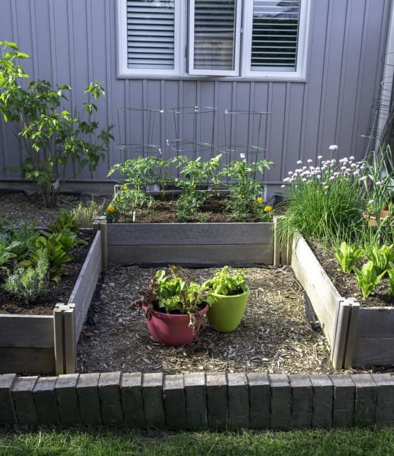 10 outils pour planifier son potager