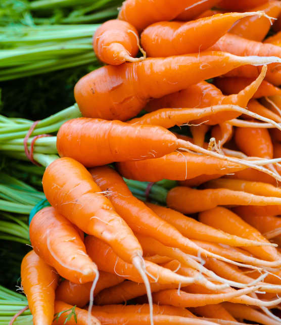 Comment bien conserver (et cuisiner) les carottes du Québec