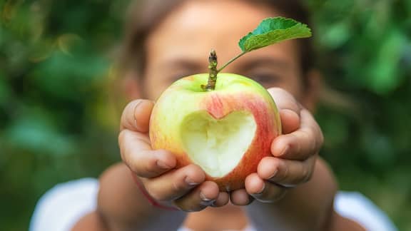 4 arrêts gourmands à faire dans les Basses-Laurentides