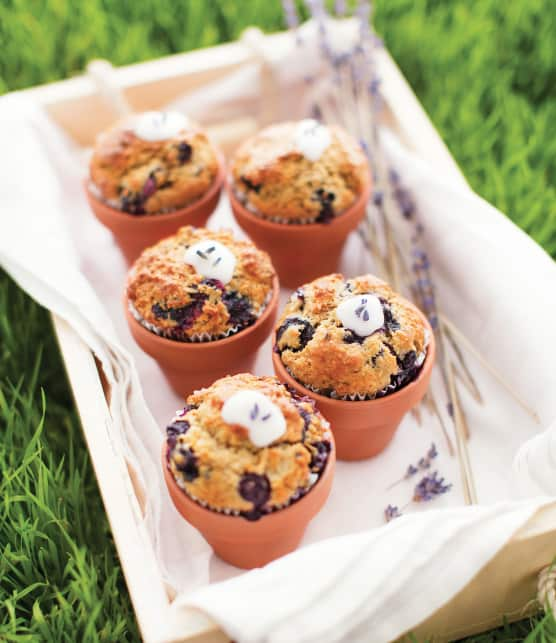 Muffins aux bleuets et à la lavande