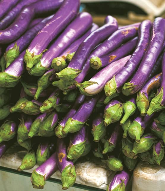 Aubergines panées