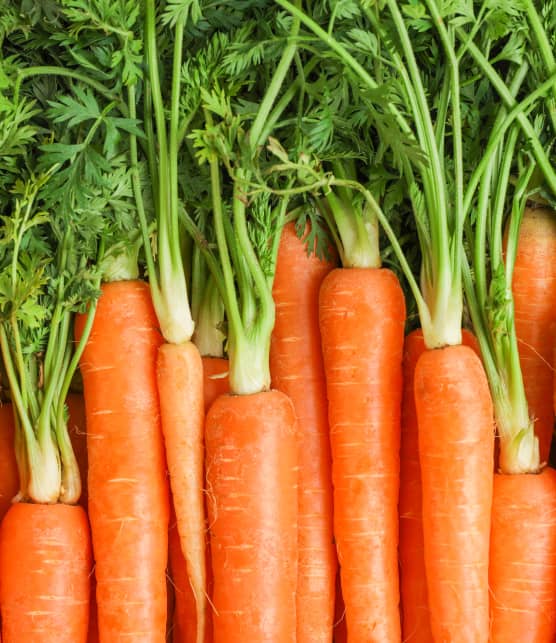 Voici 5 effets sur le corps lorsqu'on mange des carottes tous les jours