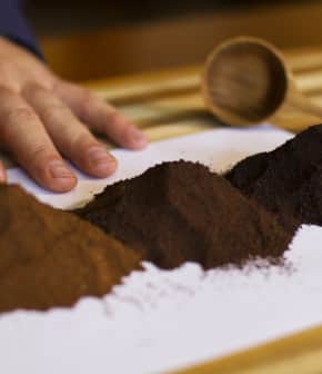 La torréfaction et le grain de café