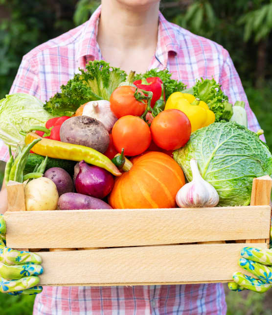 Voici où vous procurer des fruits et légumes moins chers qu'en épicerie