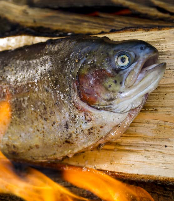 Truite canadienne grillée sur bûche