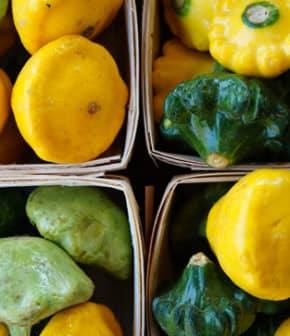 3 façons de cuisiner les pâtissons