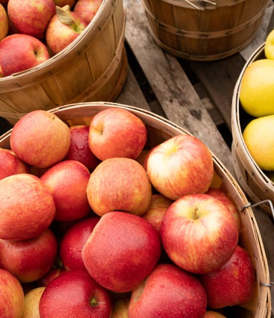 10 pommes à découvrir et cueillir en automne au Québec
