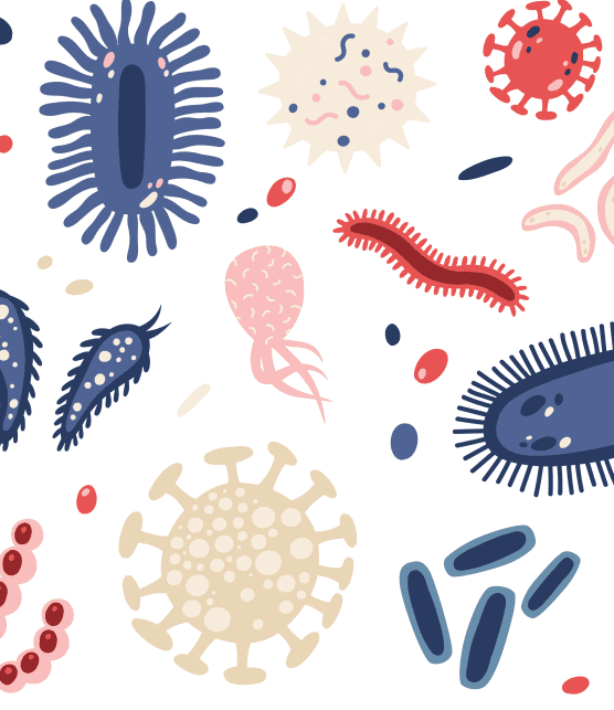 Le microbiote, de quoi s'agit-il au juste?