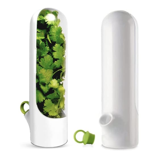 Comment conserver du basilic