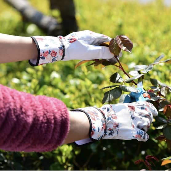 10 outils pour planifier (et réussir!) son potager