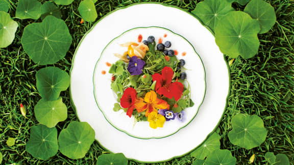 Fleurs comestibles : comment sublimer votre assiette ? - Le Moulin