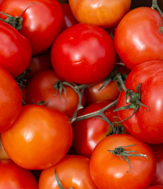 L’erreur que tout le monde fait en mangeant des tomates (et comment l’éviter)