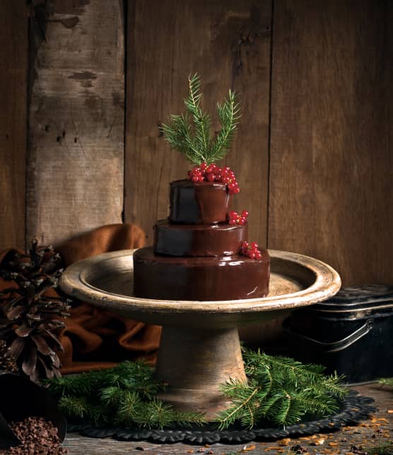 gâteau très chocolaté
