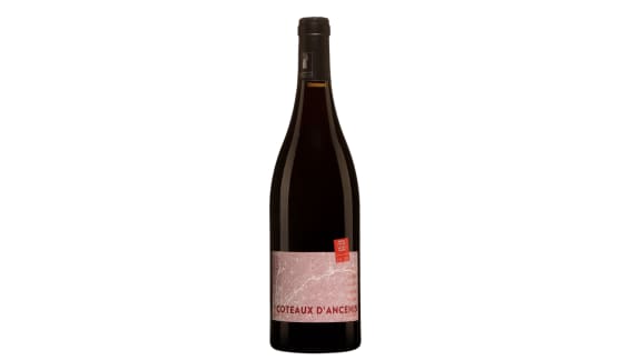 Bernard et Benoît Landron, Esprit Détente 2023, Coteaux d’Ancenis, France
