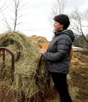 Rencontrez Christine Giguère, productrice de boeuf Highland