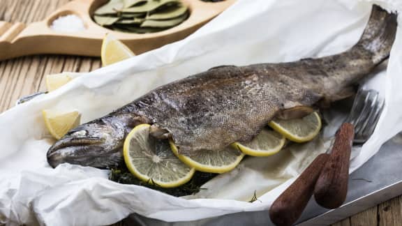 Grille barbecue à poisson