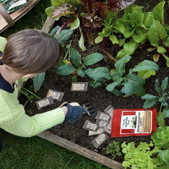 10 outils pour planifier son potager