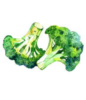 Brocoli : pas du tout ennuyeux