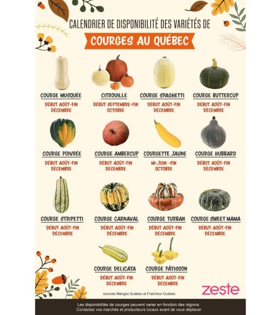 Calendrier de disponibilité des courges