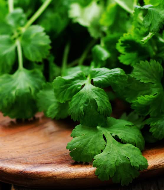 sauce vierge