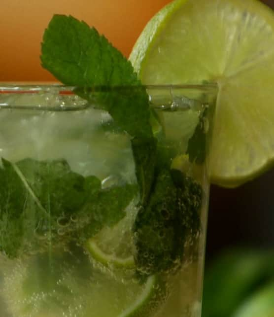 mojito