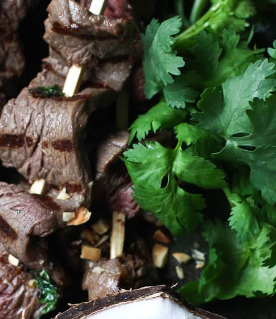 satay de boeuf, sauce à la noix de coco et aux arachides rôties