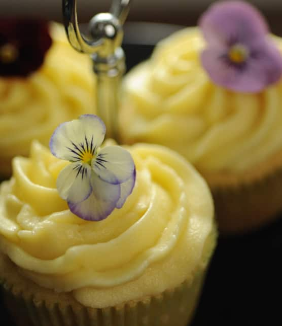 cupcakes au chocolat blanc