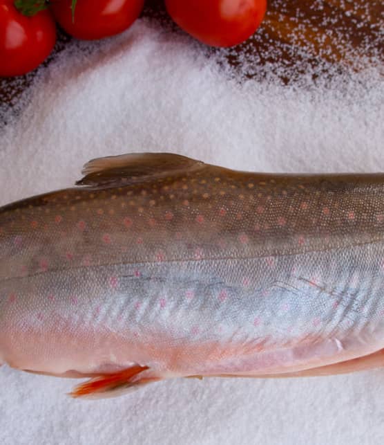 omble d'Arctique en croûte de gros sel