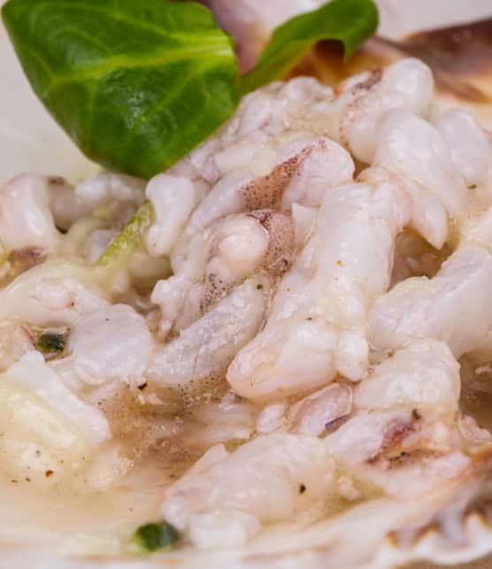 salsa « surf & turf »