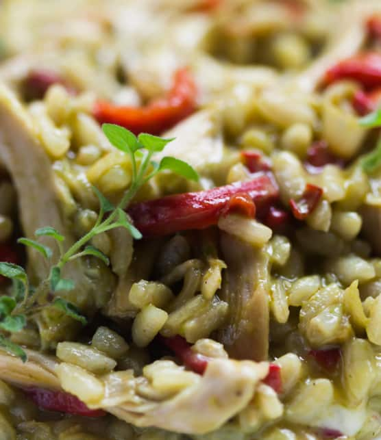 risotto à la purée de rapinis et au poulet